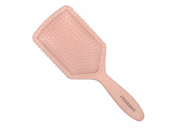 Rectangle Paddle Brush