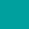 Deepshine Direct Color Available in Seven types